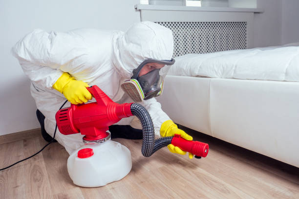 Best Affordable Pest Control Services  in Beloit, OH
