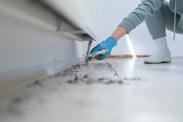 Pest Control Cost in Beloit, OH